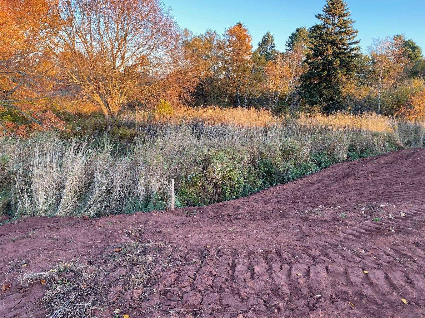 8741 Rte 11, Abrams Village, PE