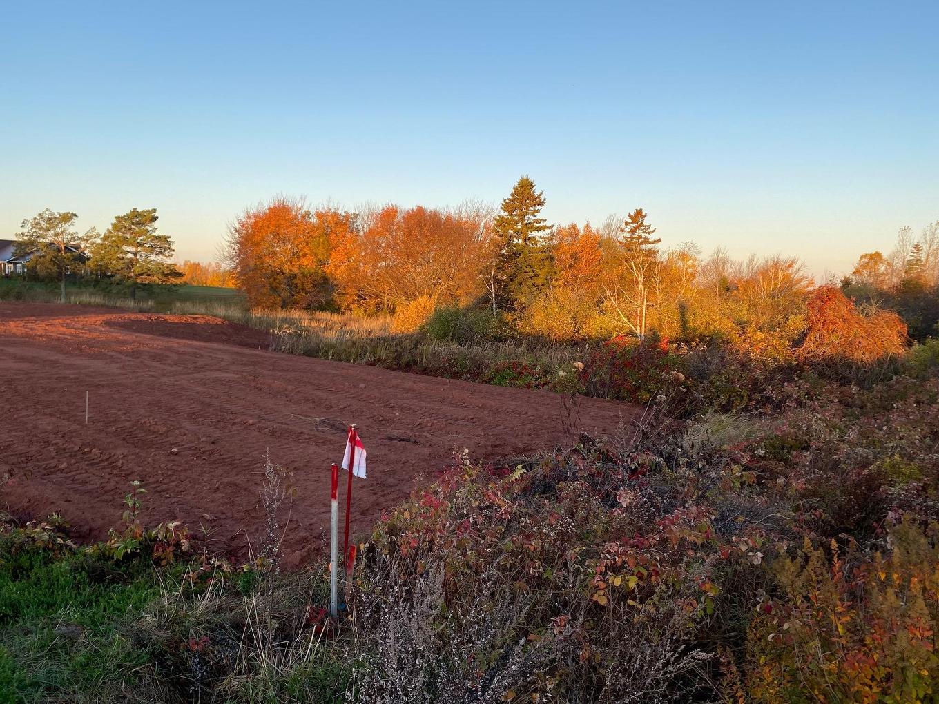 8741 Rte 11, Abrams Village, PE