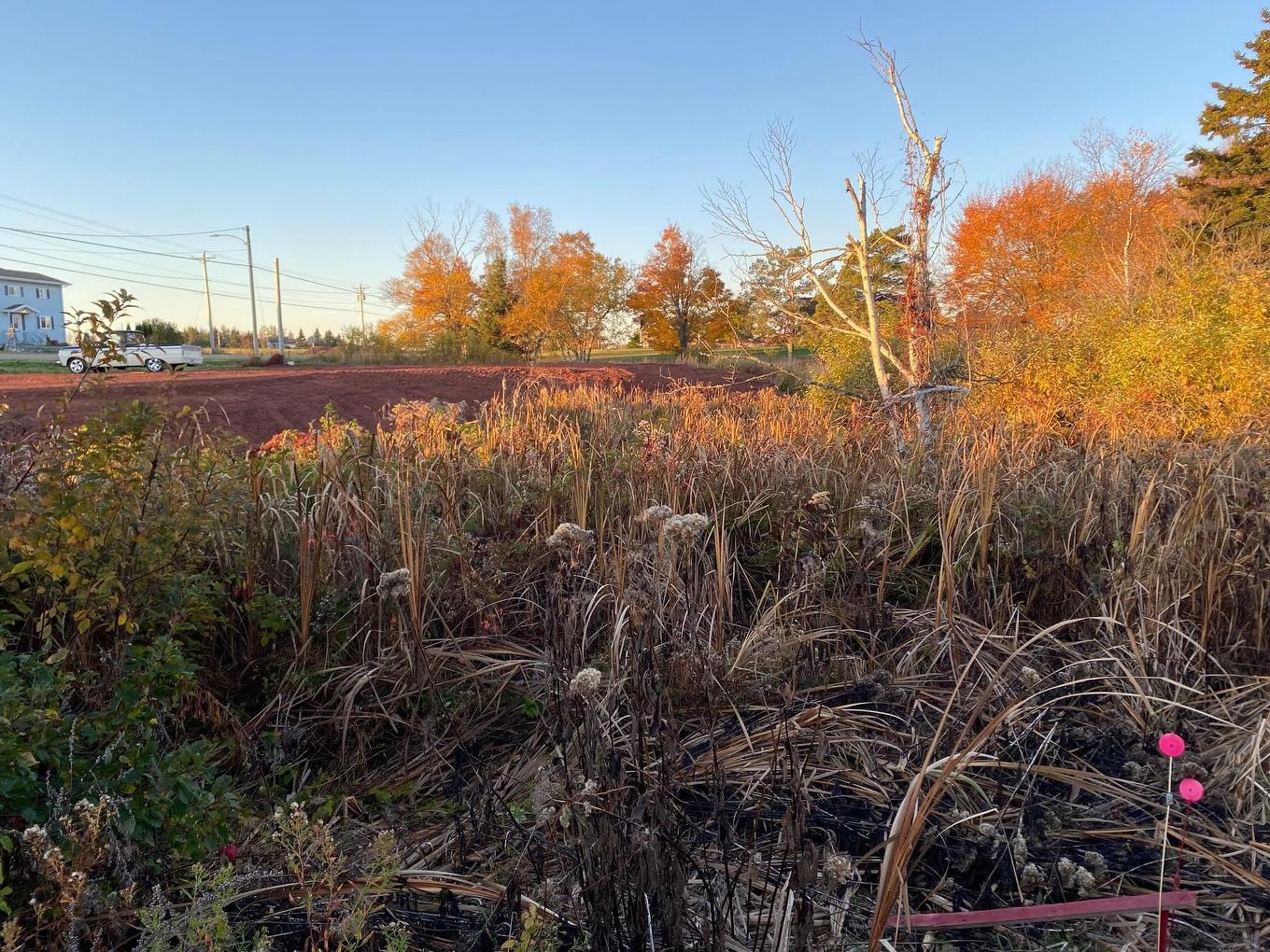 8741 Rte 11, Abrams Village, PE