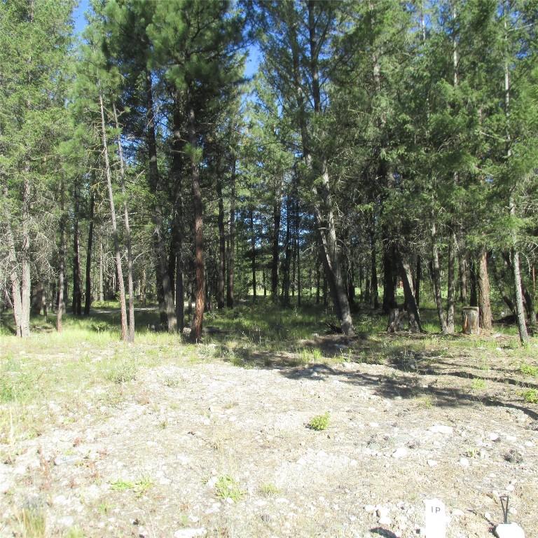 172 Shadow Mountain Boulevard, Cranbrook, BC - Outdoor With View