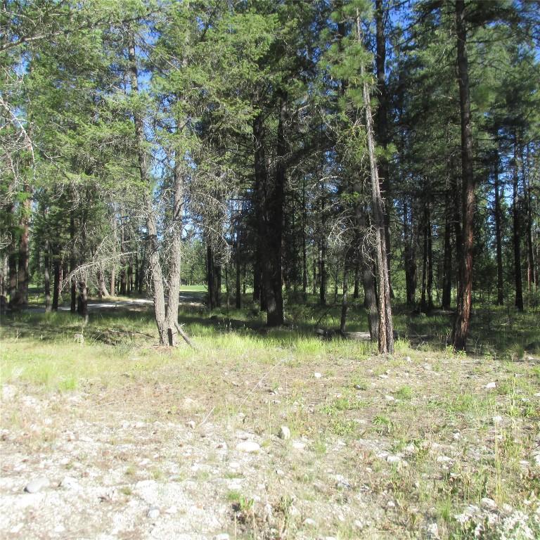 172 Shadow Mountain Boulevard, Cranbrook, BC - Outdoor With View