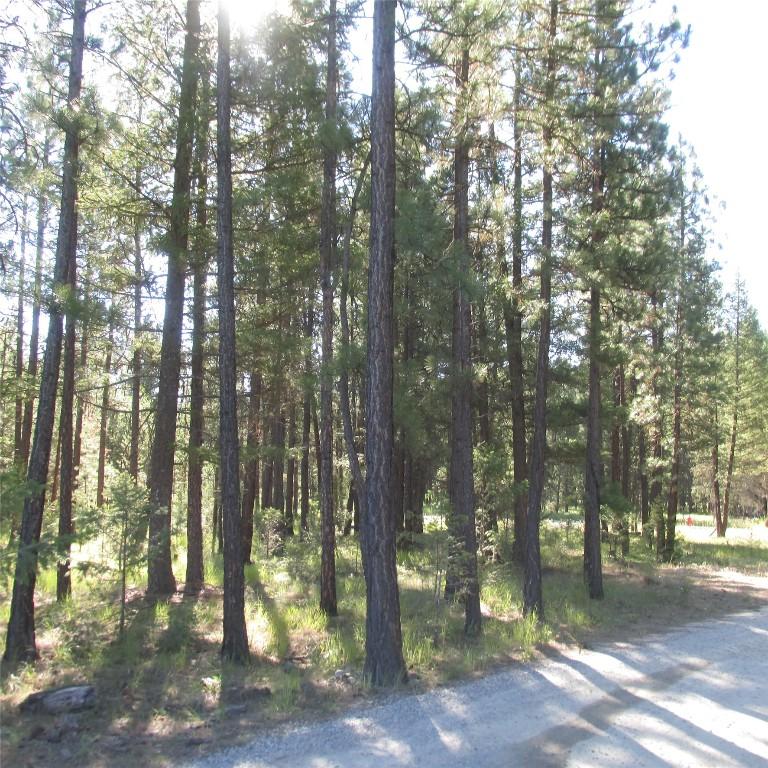 172 Shadow Mountain Boulevard, Cranbrook, BC - Outdoor With View