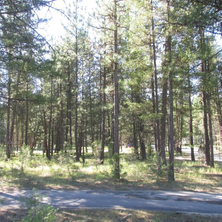 172 Shadow Mountain Boulevard, Cranbrook, BC - Outdoor With View