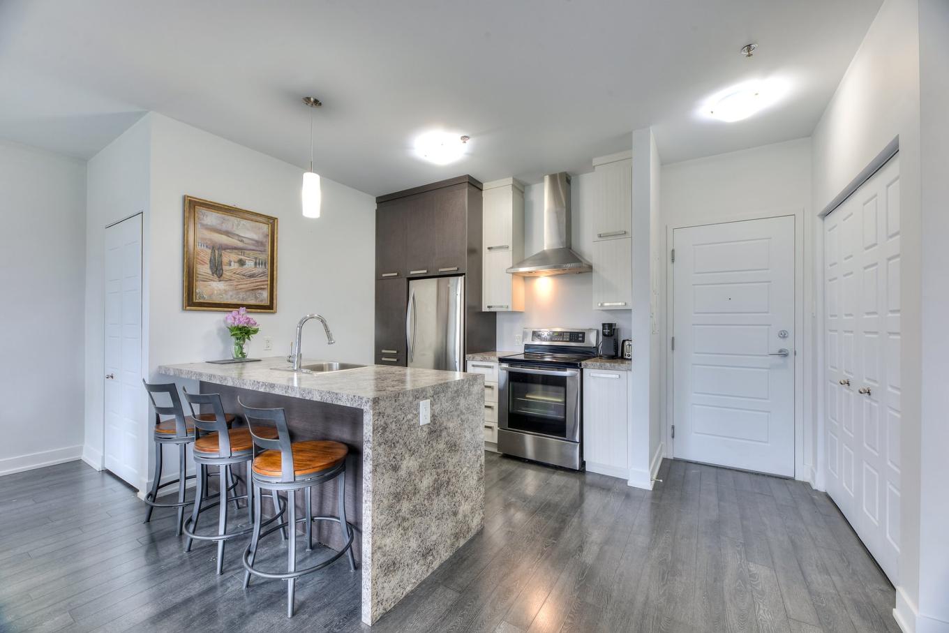 Cuisine - 207-2310 Rue Marcelle-Ferron, Montréal (Mercier/Hochelaga-Maisonneuve), QC - Indoor Photo Showing Kitchen With Upgraded Kitchen