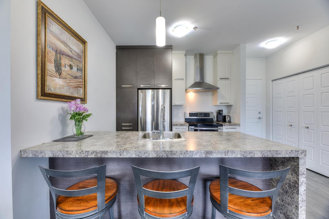 Cuisine - 207-2310 Rue Marcelle-Ferron, Montréal (Mercier/Hochelaga-Maisonneuve), QC - Indoor Photo Showing Kitchen With Double Sink With Upgraded Kitchen