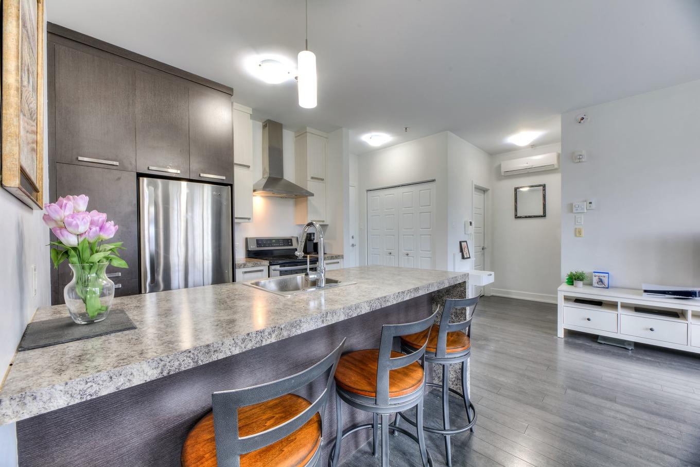 Cuisine - 207-2310 Rue Marcelle-Ferron, Montréal (Mercier/Hochelaga-Maisonneuve), QC - Indoor Photo Showing Kitchen With Double Sink