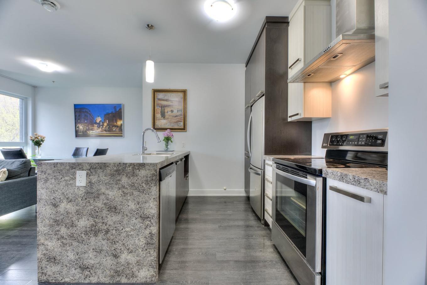 Cuisine - 207-2310 Rue Marcelle-Ferron, Montréal (Mercier/Hochelaga-Maisonneuve), QC - Indoor Photo Showing Kitchen