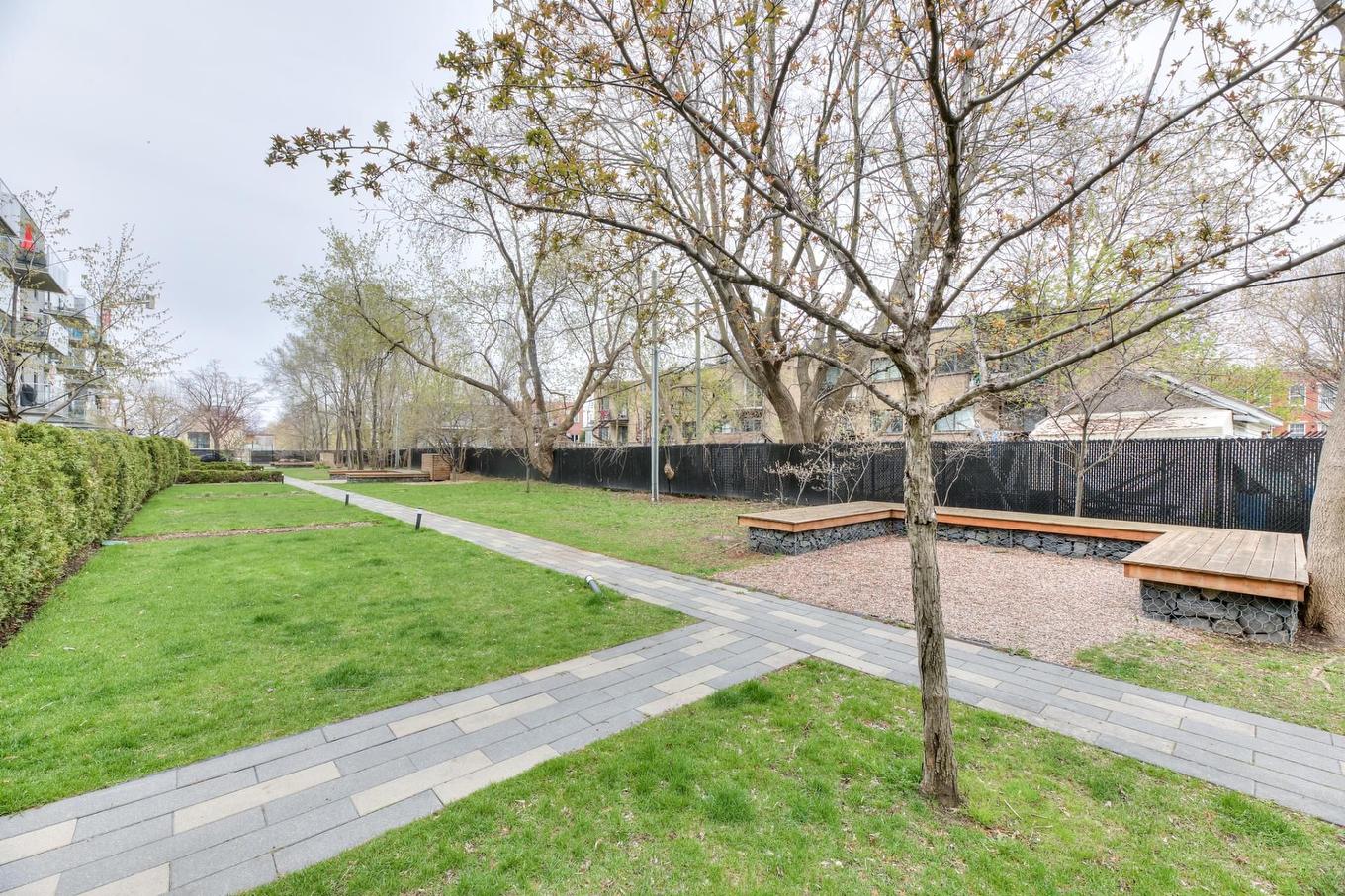 Cour - 207-2310 Rue Marcelle-Ferron, Montréal (Mercier/Hochelaga-Maisonneuve), QC - Outdoor With Backyard