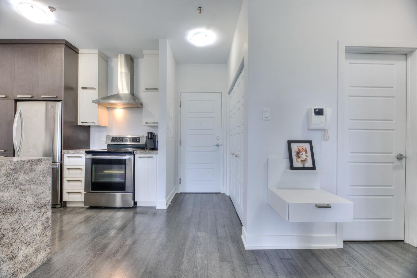 Hall d'entrée/Vestibule - 207-2310 Rue Marcelle-Ferron, Montréal (Mercier/Hochelaga-Maisonneuve), QC - Indoor Photo Showing Kitchen
