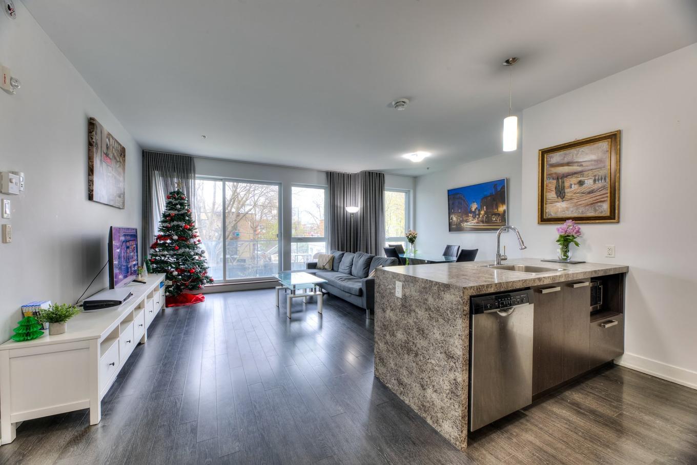 Vue d'ensemble - 207-2310 Rue Marcelle-Ferron, Montréal (Mercier/Hochelaga-Maisonneuve), QC - Indoor