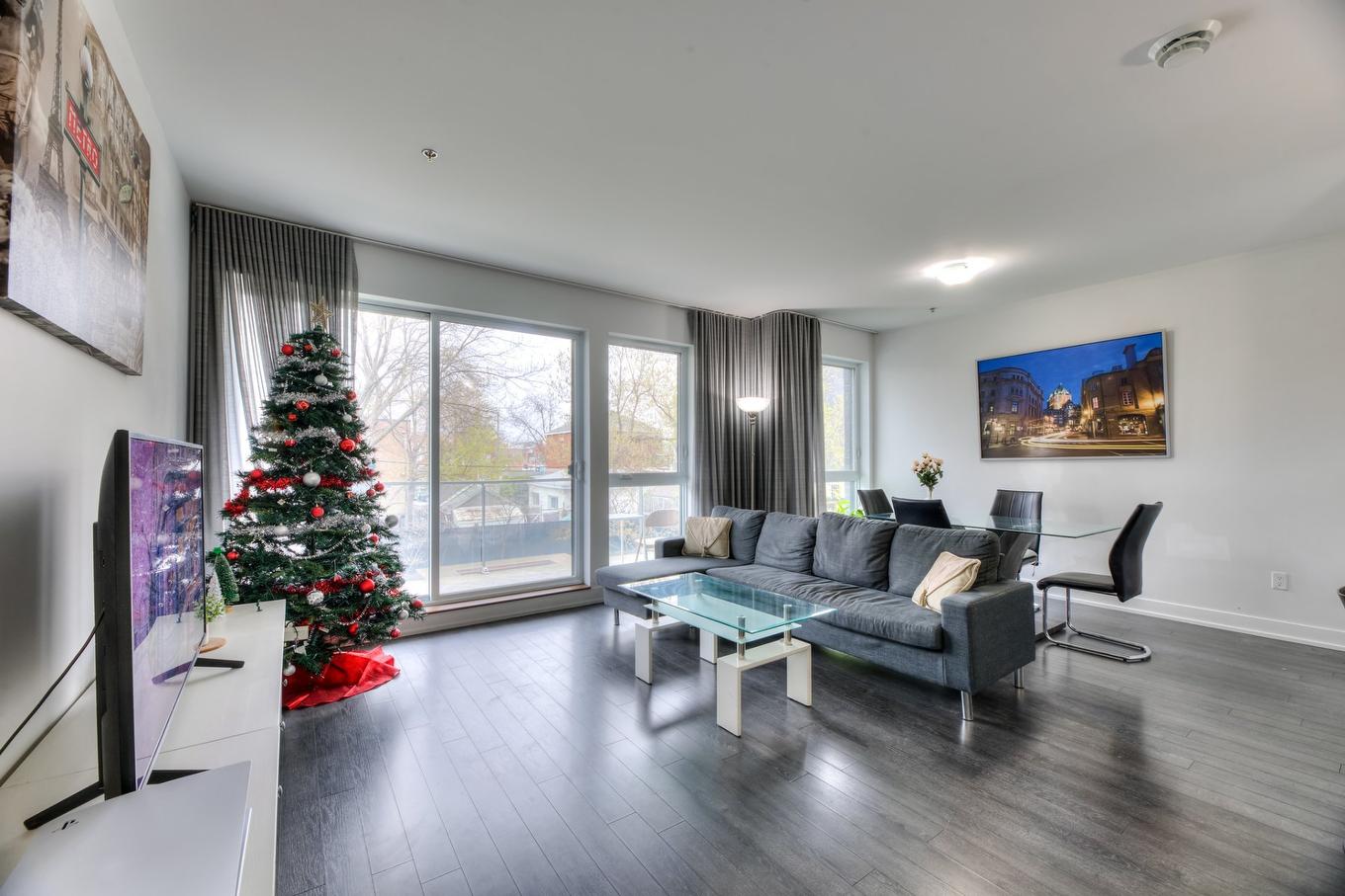 Salon - 207-2310 Rue Marcelle-Ferron, Montréal (Mercier/Hochelaga-Maisonneuve), QC - Indoor Photo Showing Living Room