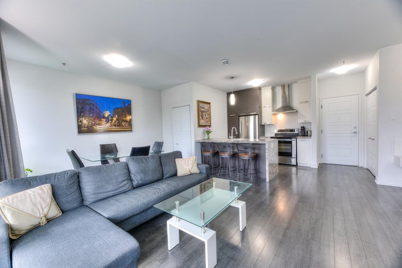 Vue d'ensemble - 207-2310 Rue Marcelle-Ferron, Montréal (Mercier/Hochelaga-Maisonneuve), QC - Indoor Photo Showing Living Room