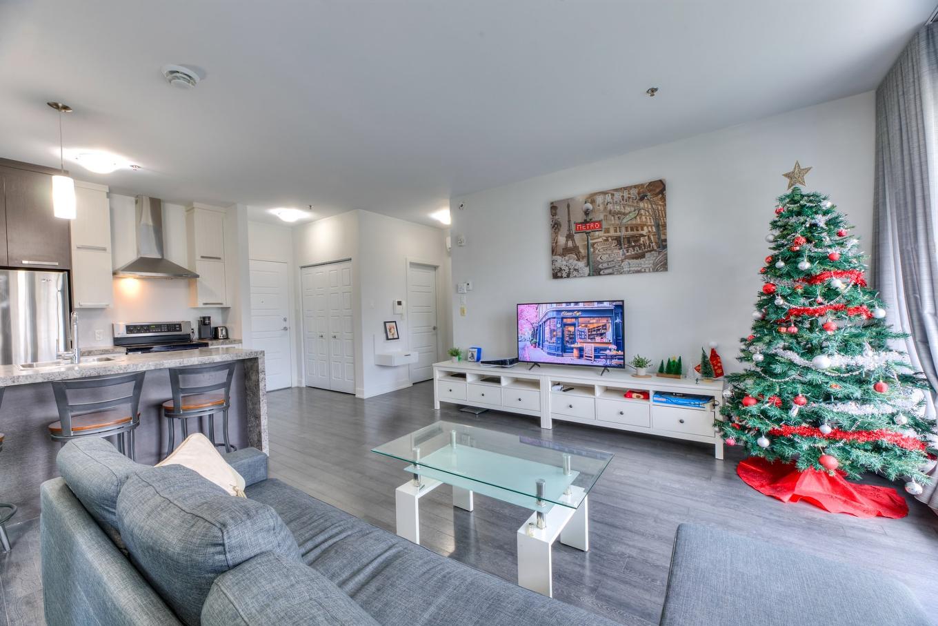 Vue d'ensemble - 207-2310 Rue Marcelle-Ferron, Montréal (Mercier/Hochelaga-Maisonneuve), QC - Indoor Photo Showing Other Room