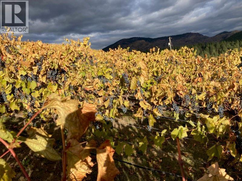 Panaroma Drive Lot# Lot B, Grand Forks, BC