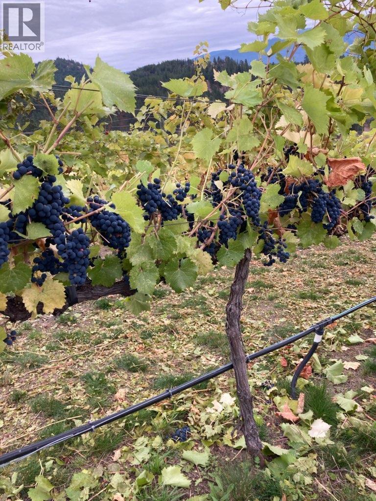 Panaroma Drive Lot# Lot B, Grand Forks, BC