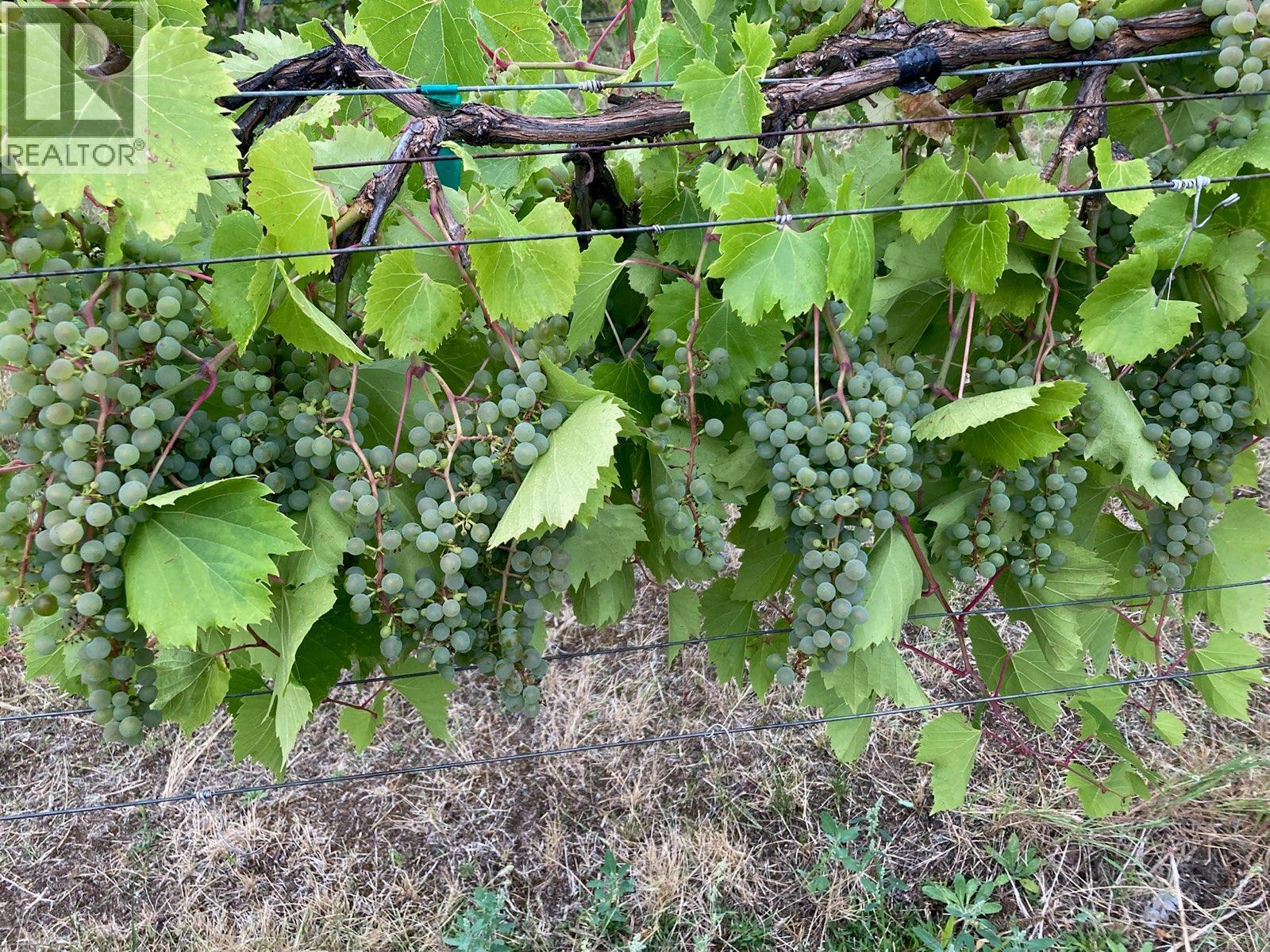 Panaroma Drive Lot# Lot B, Grand Forks, BC