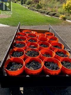 Panaroma Drive Lot# Lot B, Grand Forks, BC