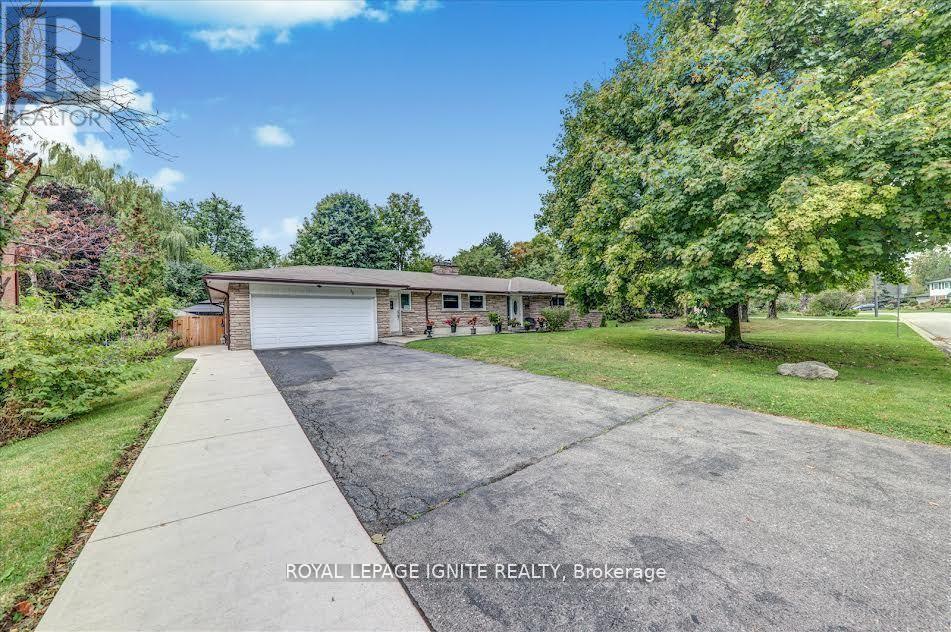 Bsmt - 36 Hillside Drive, Brampton, ON - Outdoor