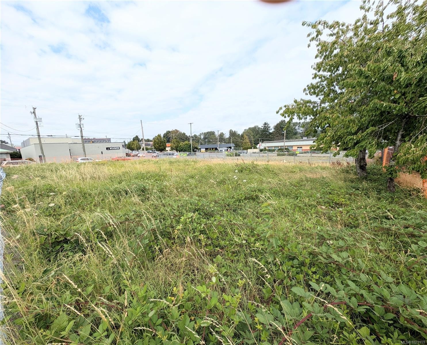 310 11Th St, Courtenay, BC