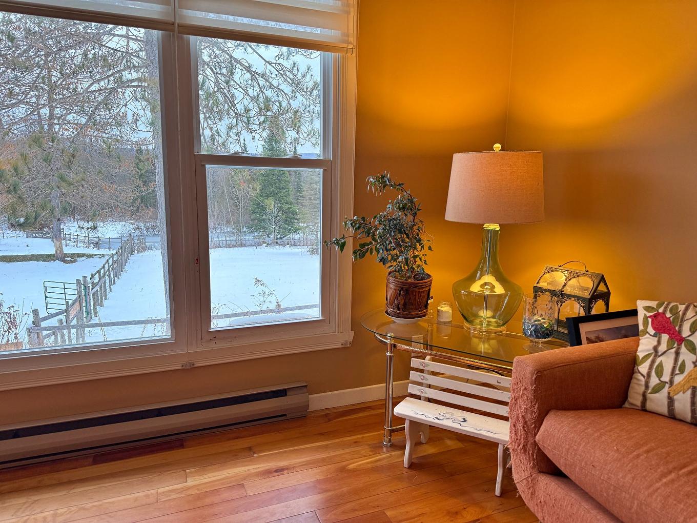 Living room - 508 Route De Mansonville, Potton, QC