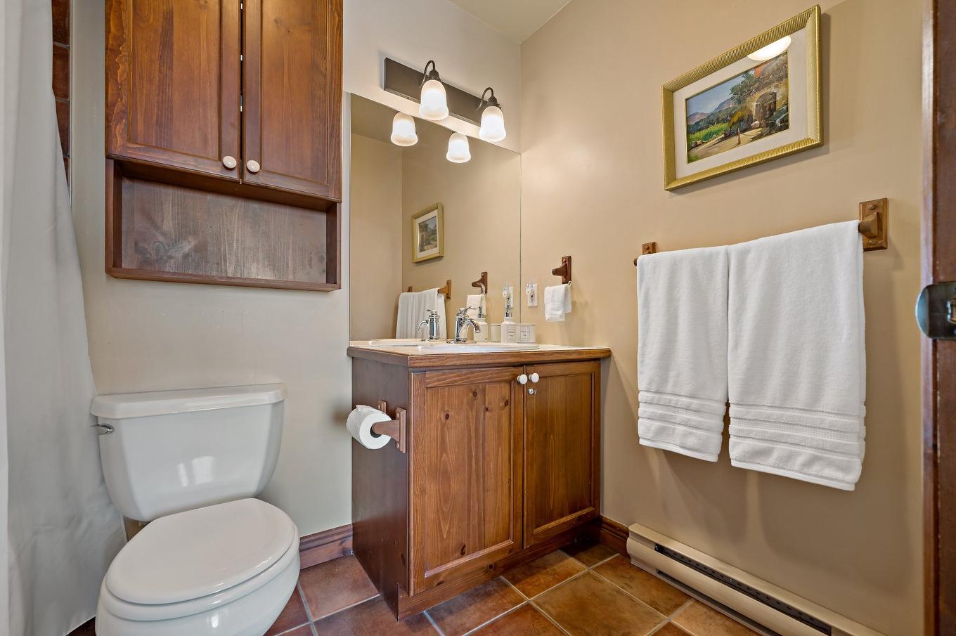 Ensuite bathroom - 4-175Z Rue Du Mont-Plaisant, Mont-Tremblant, QC - Indoor Photo Showing Bathroom