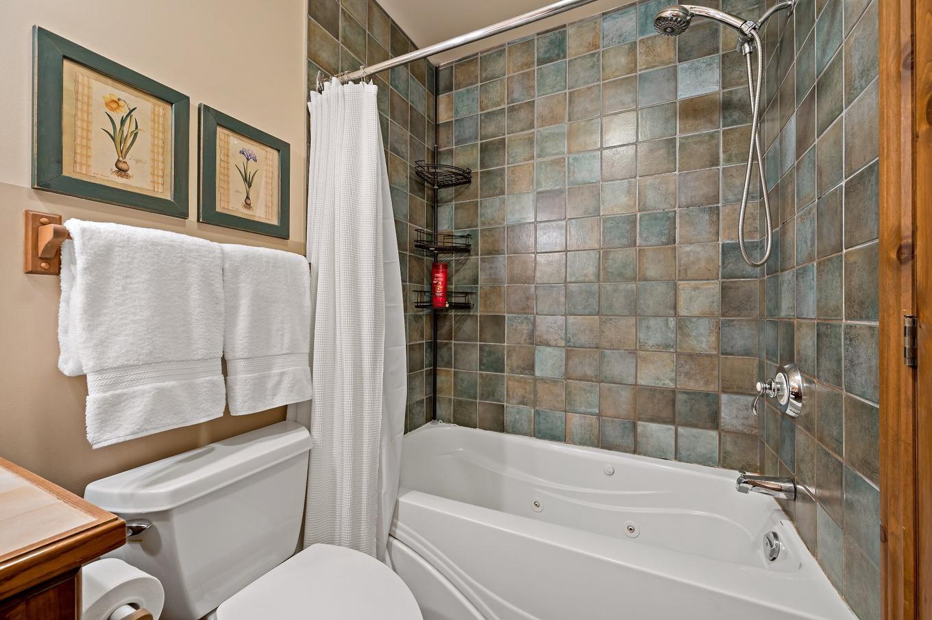 Ensuite bathroom - 4-175Z Rue Du Mont-Plaisant, Mont-Tremblant, QC - Indoor Photo Showing Bathroom