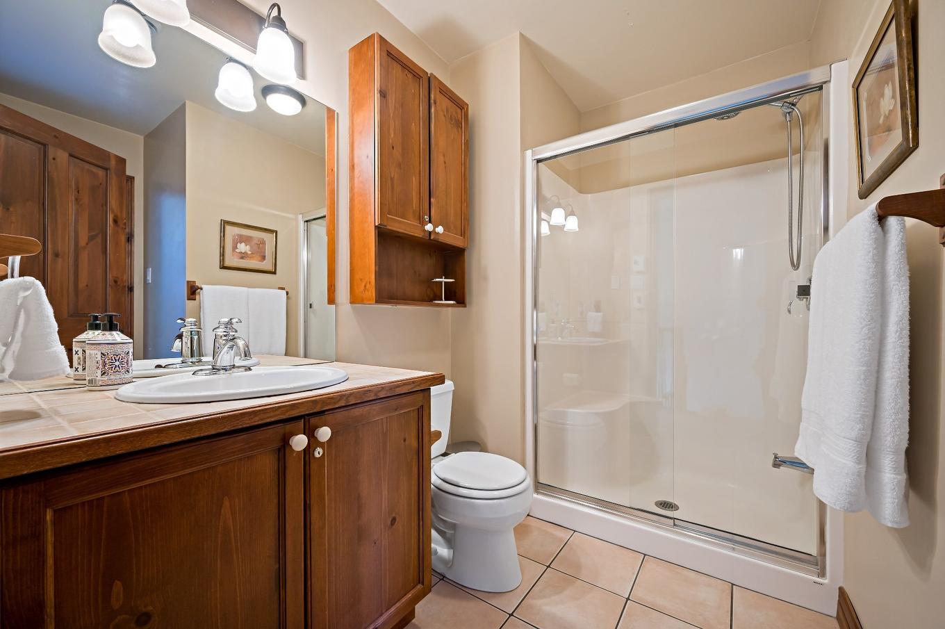 Ensuite bathroom - 4-175Z Rue Du Mont-Plaisant, Mont-Tremblant, QC - Indoor Photo Showing Bathroom