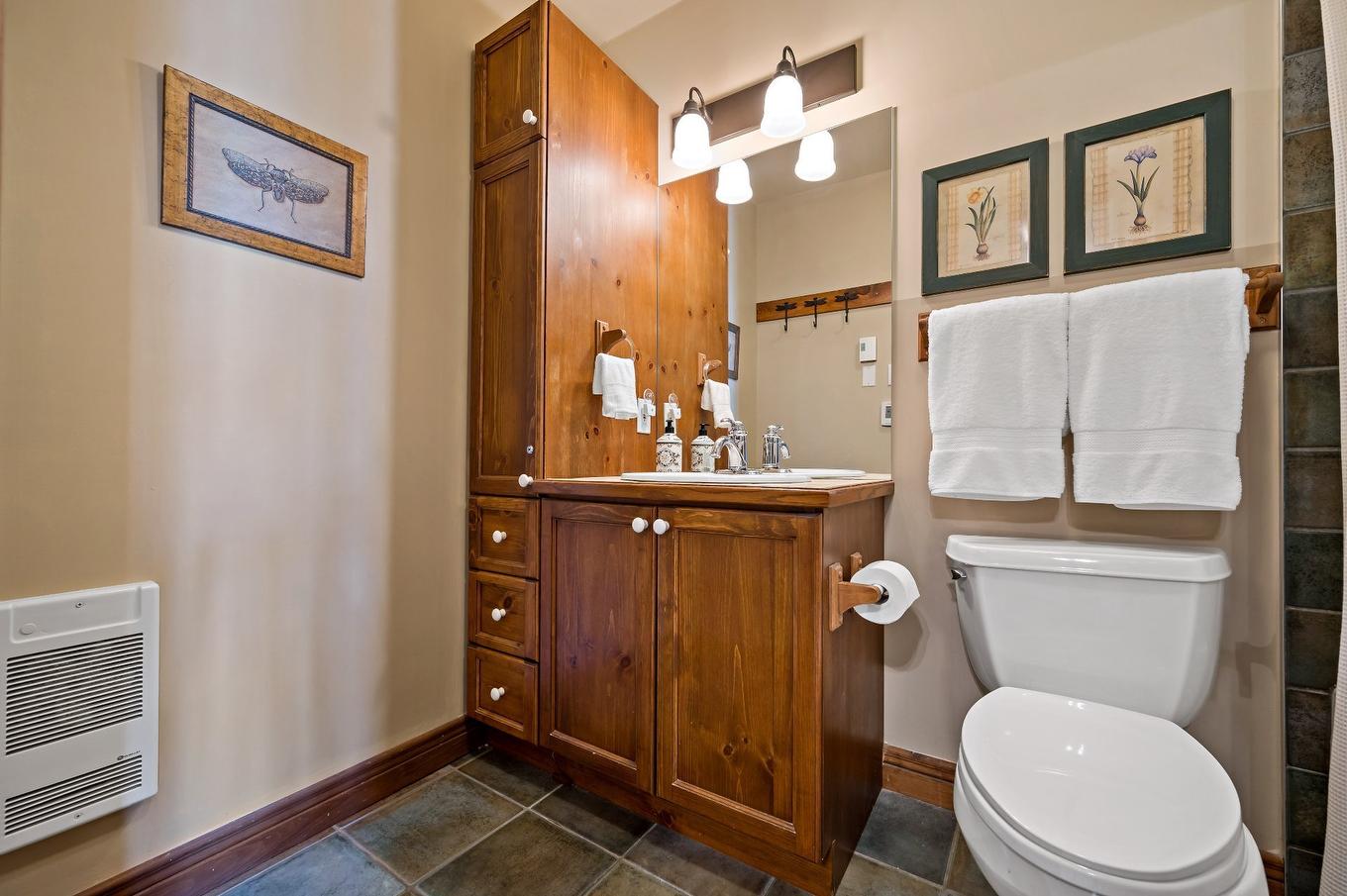 Ensuite bathroom - 4-175Z Rue Du Mont-Plaisant, Mont-Tremblant, QC - Indoor Photo Showing Bathroom