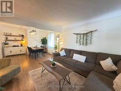 Illuminated with soft natural light -