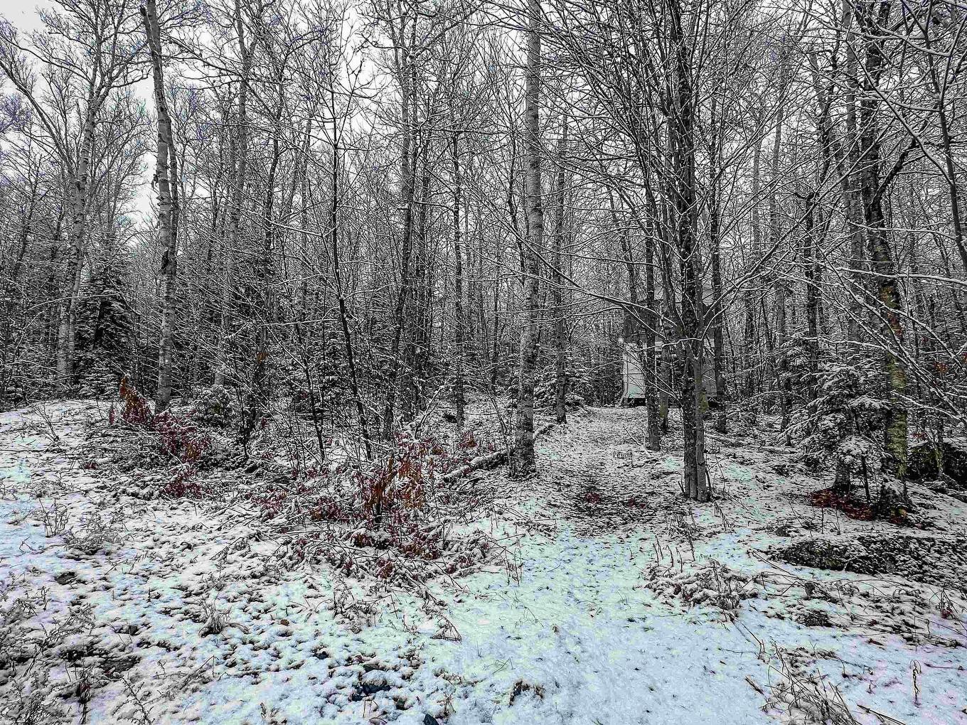 136 Pioneer Drive, Vaughan, NS