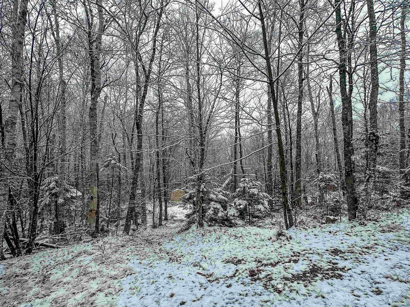 136 Pioneer Drive, Vaughan, NS