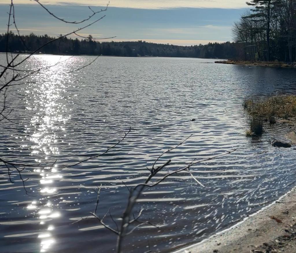 136 Pioneer Drive, Vaughan, NS