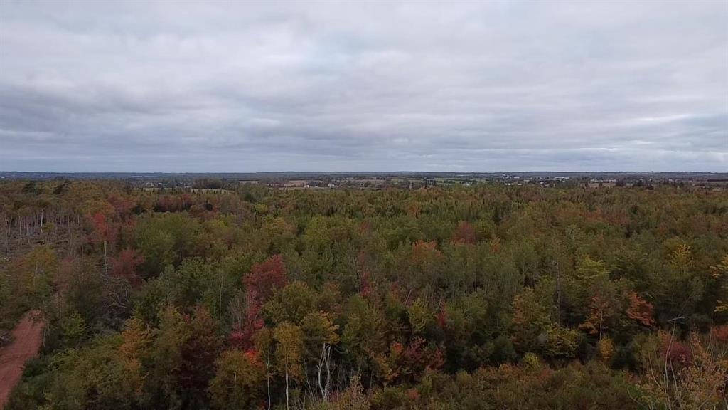 Acreage Bethel Road, Bethel, PE