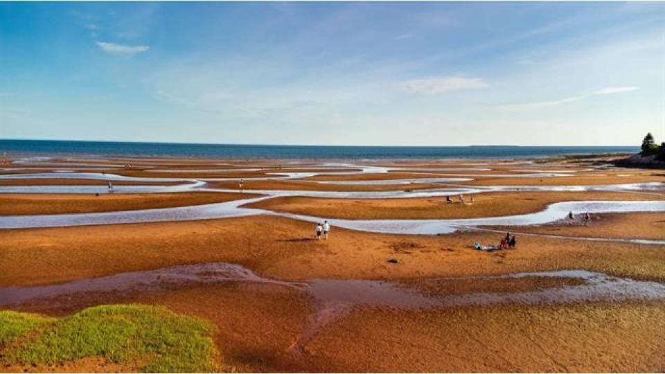 65 Larkspur Street, Stratford, PE