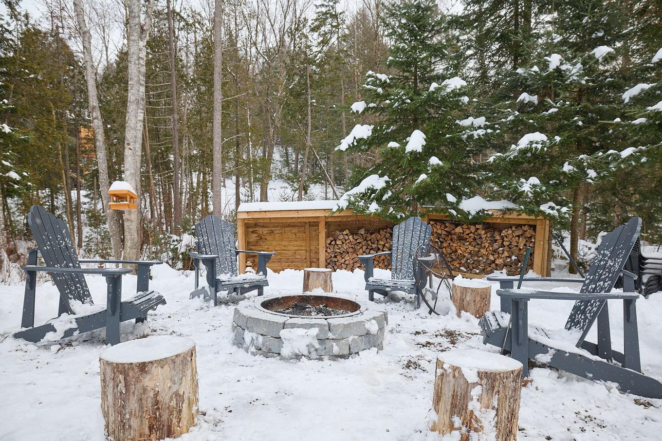 Cour - 425 Ch. Au Cap Blomidon, Saint-Donat, QC - Outdoor