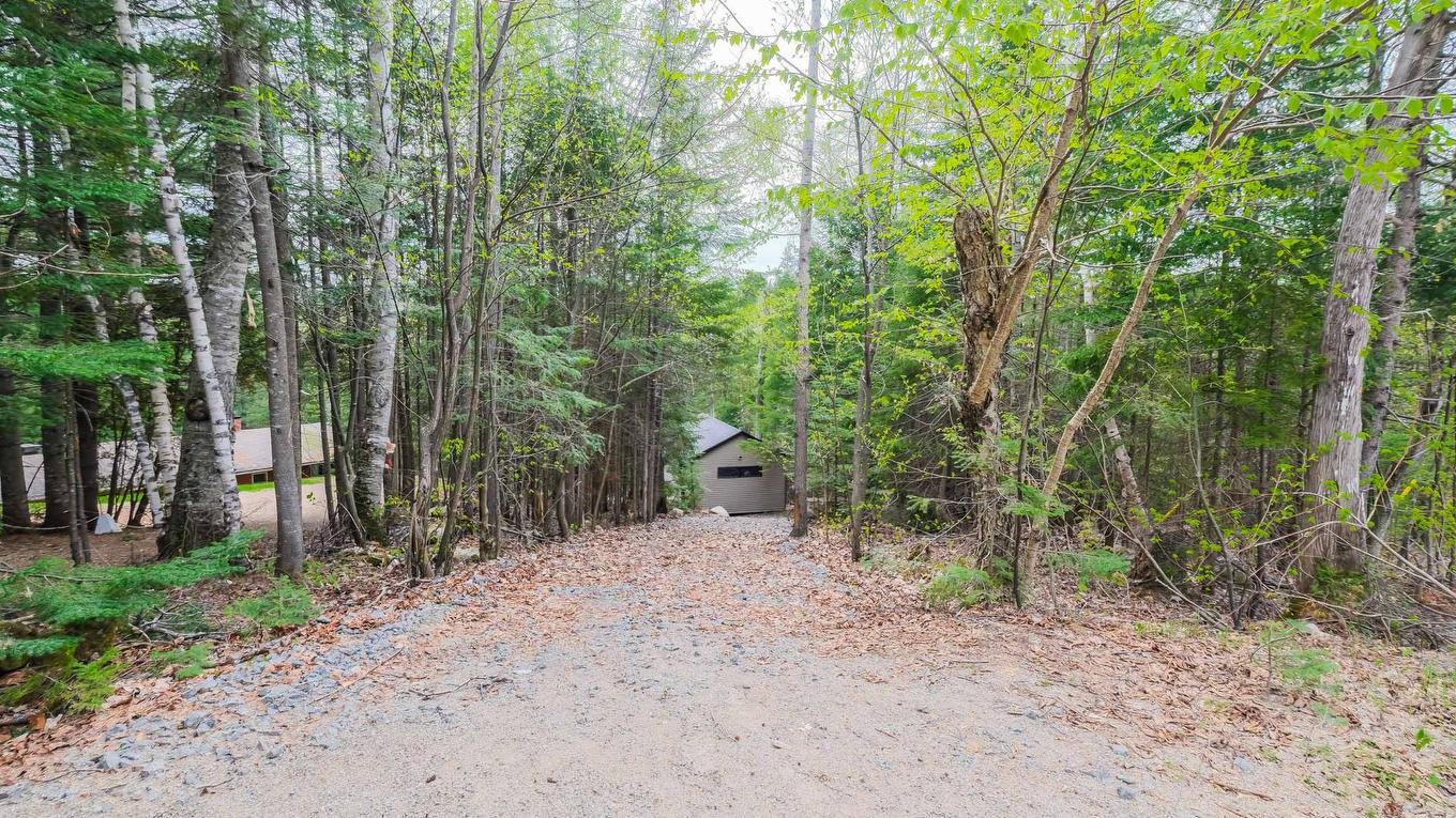 Accès au plan d'eau - 425 Ch. Au Cap Blomidon, Saint-Donat, QC - Outdoor