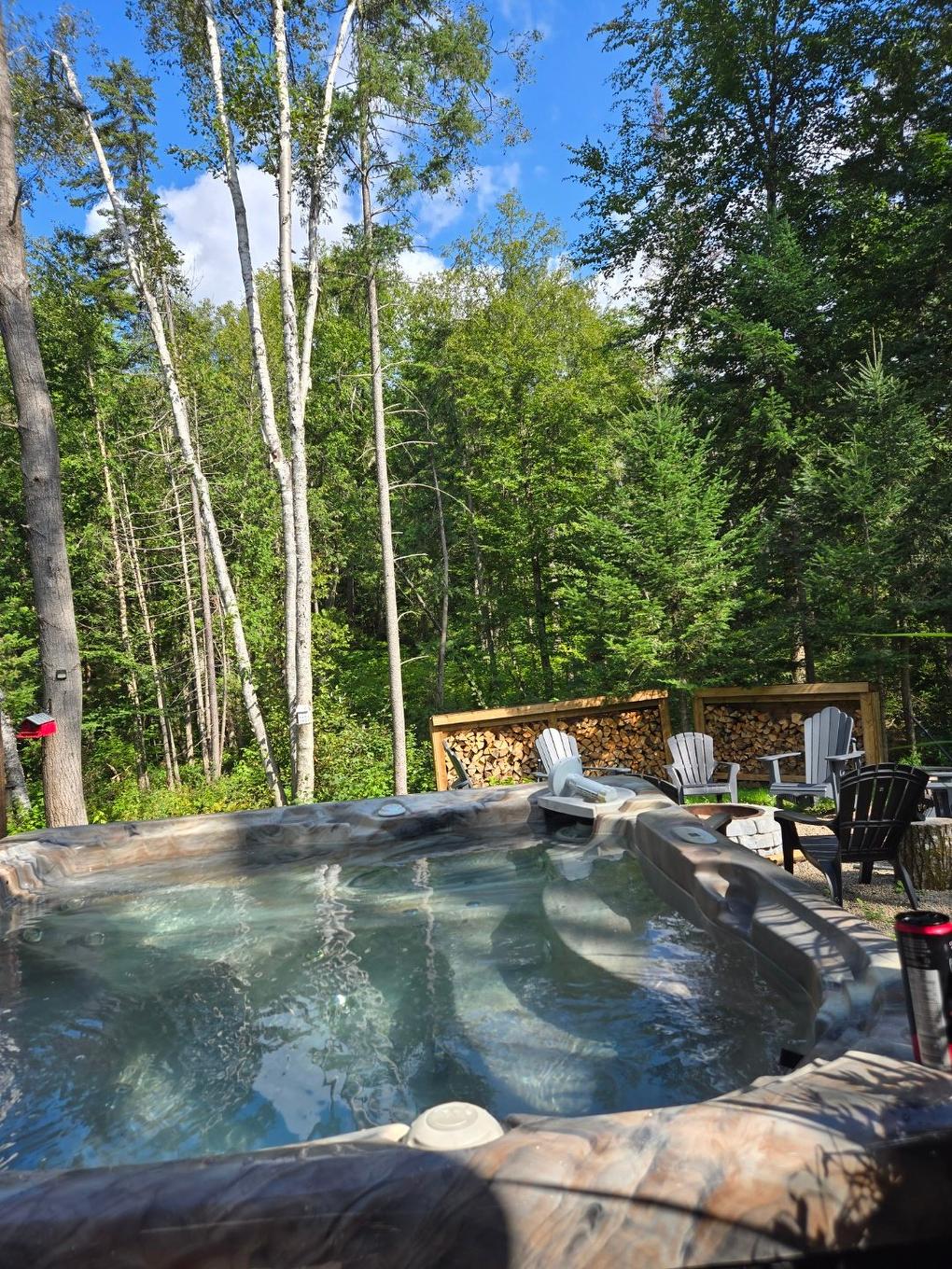 Cour - 425 Ch. Au Cap Blomidon, Saint-Donat, QC - Outdoor