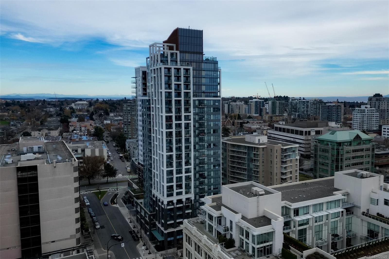 2002-777 Herald St, Victoria, BC - Outdoor With View