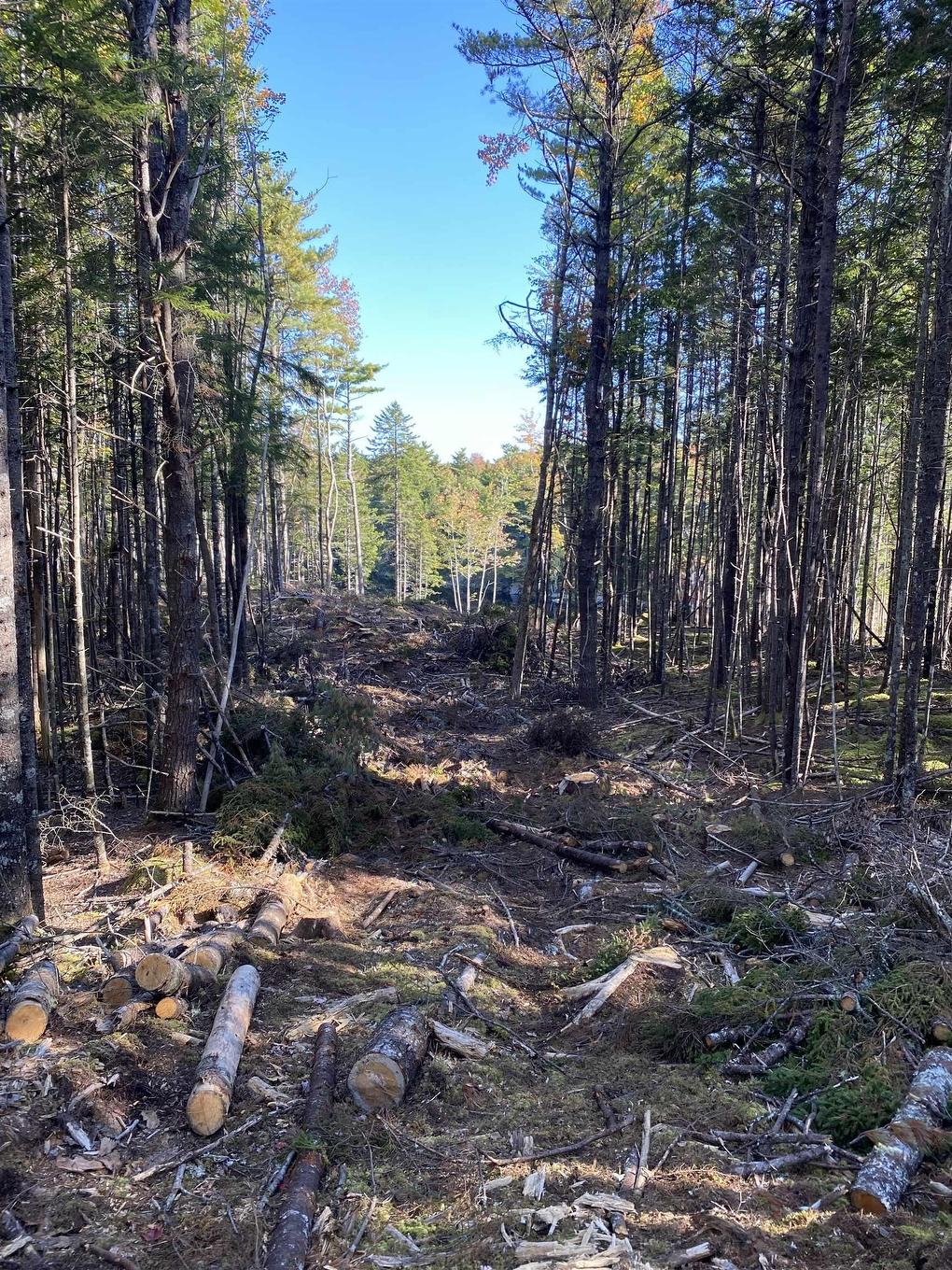 Lot 2 Highway 103, Port Mouton, NS