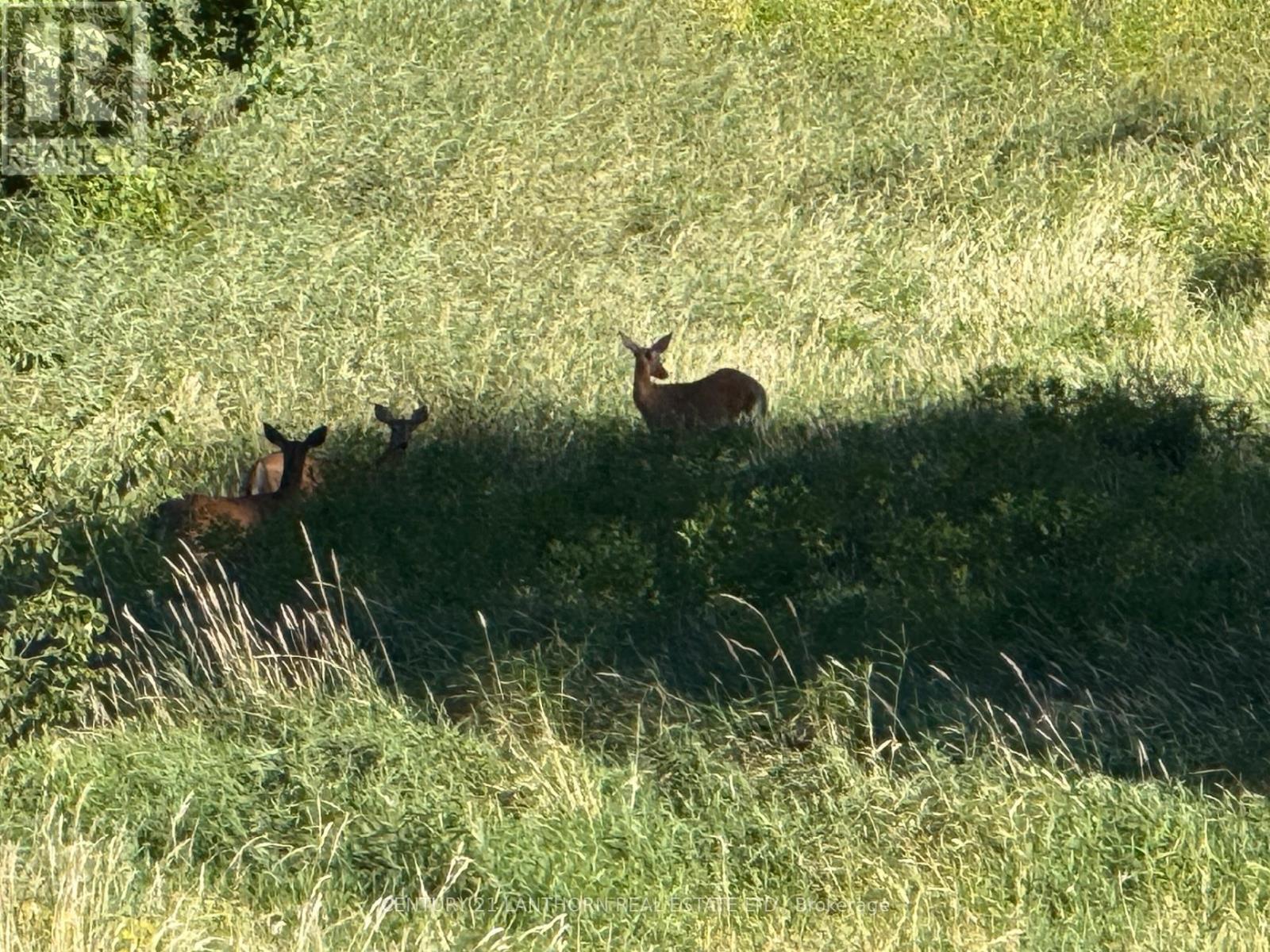 0 Deloro Road, Madoc, ON