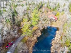 Aerial view of Pond -