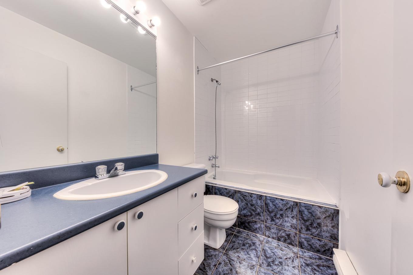 Salle de bains - 1066 Rue De La Famille-Dubreuil, Montréal (Rivière-Des-Prairies/Pointe-Aux-Trembles), QC - Indoor Photo Showing Bathroom