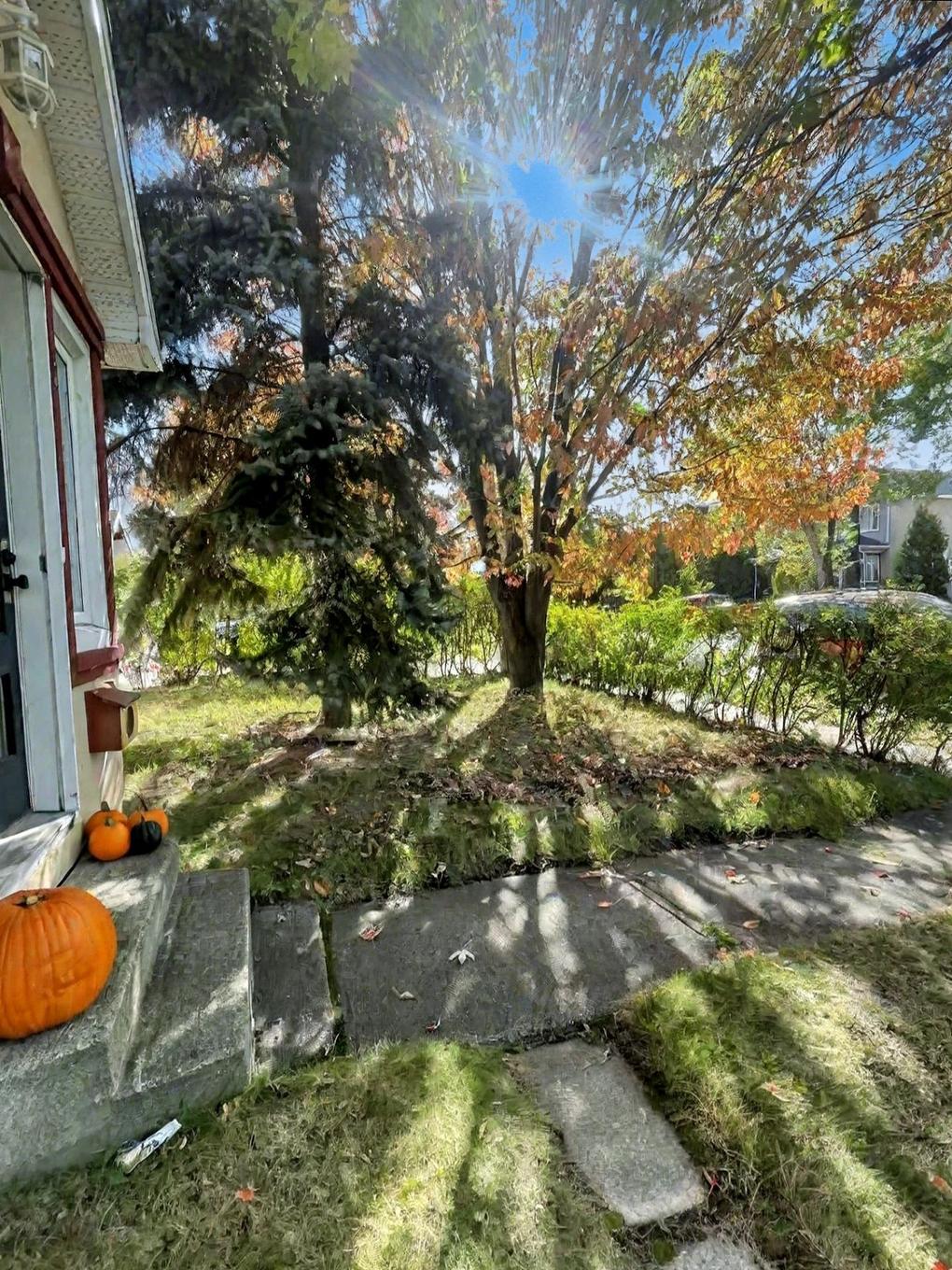 Cour - 26 6E Rue, Rouyn-Noranda, QC - Outdoor