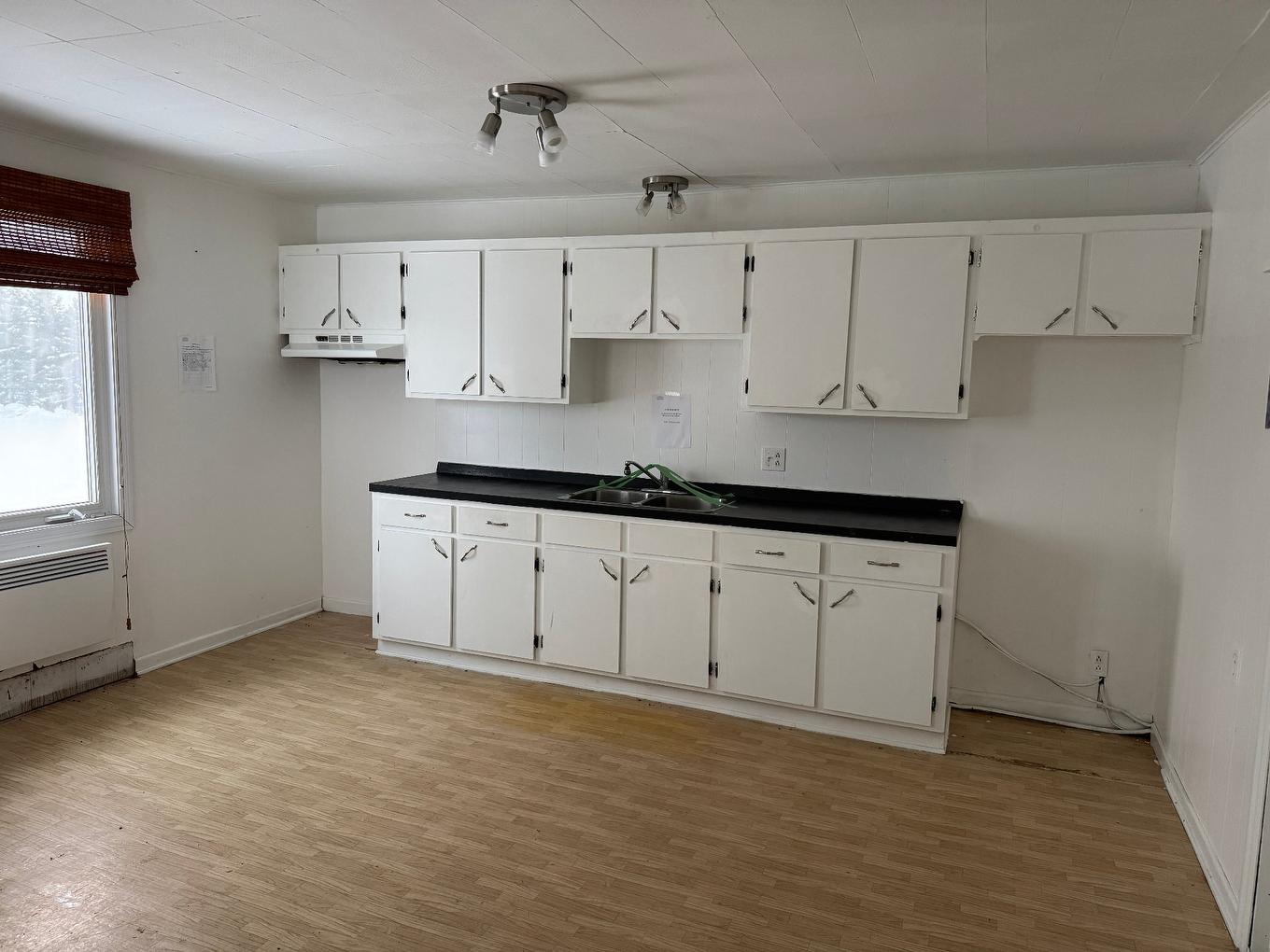 Logement - 203 - 203B Route Route 397 (Rochebaucourt), La Morandière-Rochebaucourt, QC - Indoor Photo Showing Kitchen With Double Sink