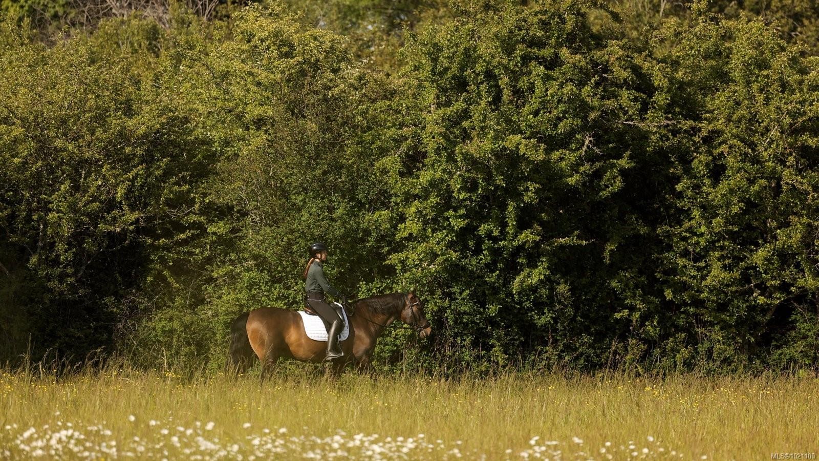 9775 West Saanich Rd, North Saanich, BC