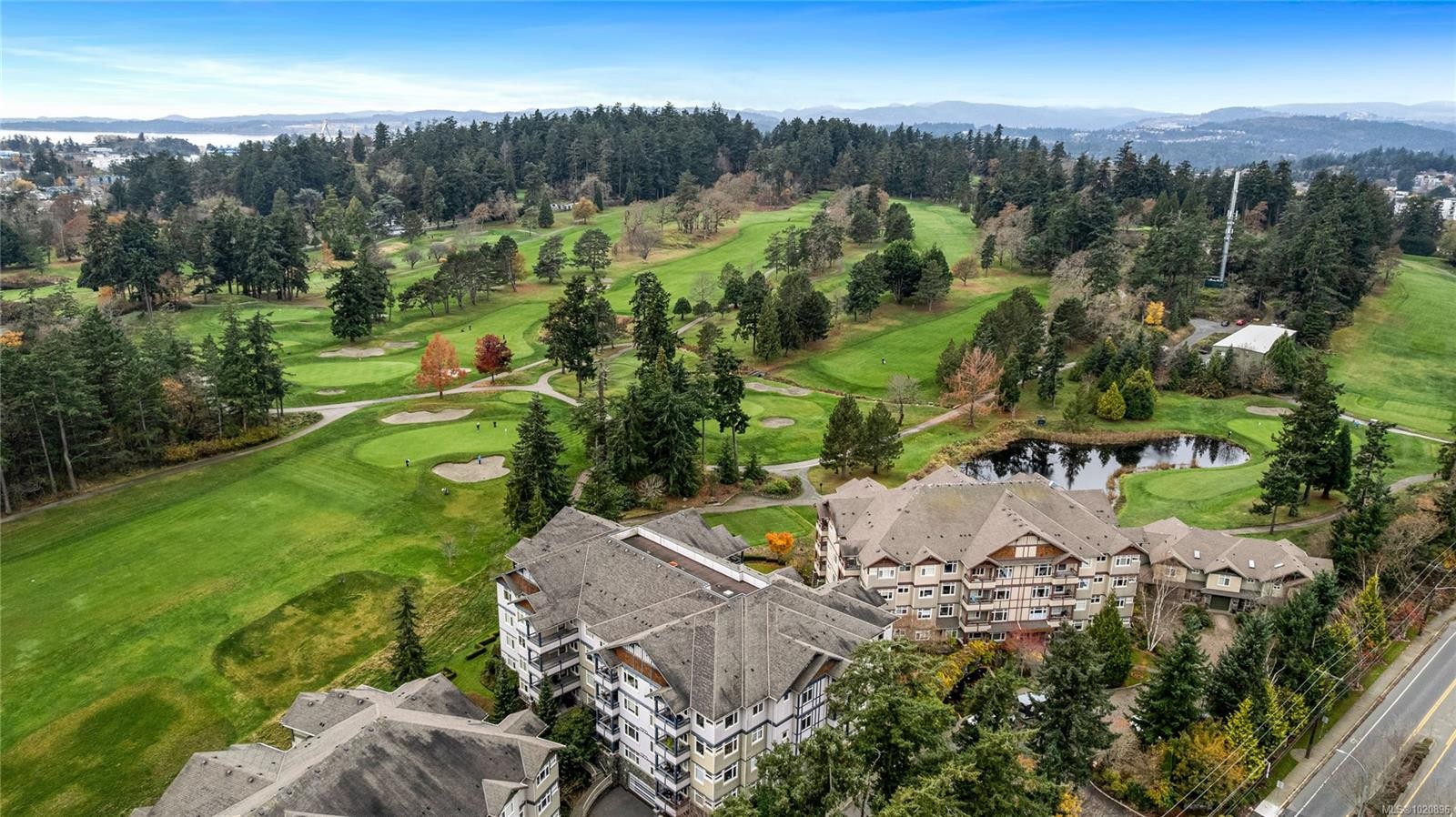 203D-1115 Craigflower Rd, Esquimalt, BC - Outdoor With View