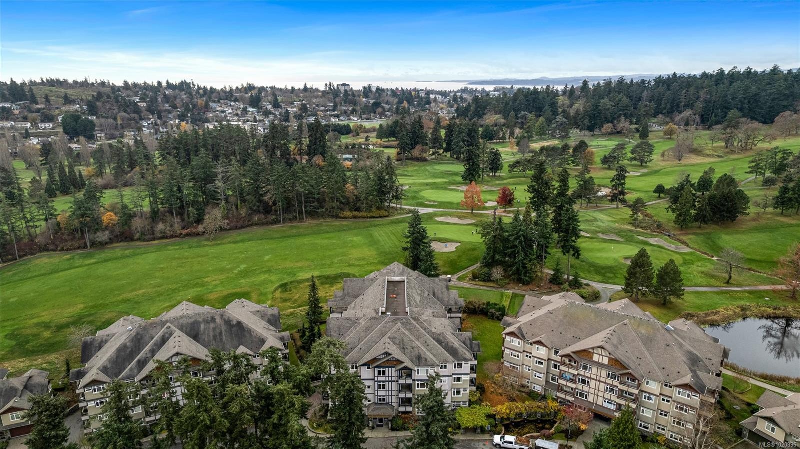 203D-1115 Craigflower Rd, Esquimalt, BC - Outdoor With View