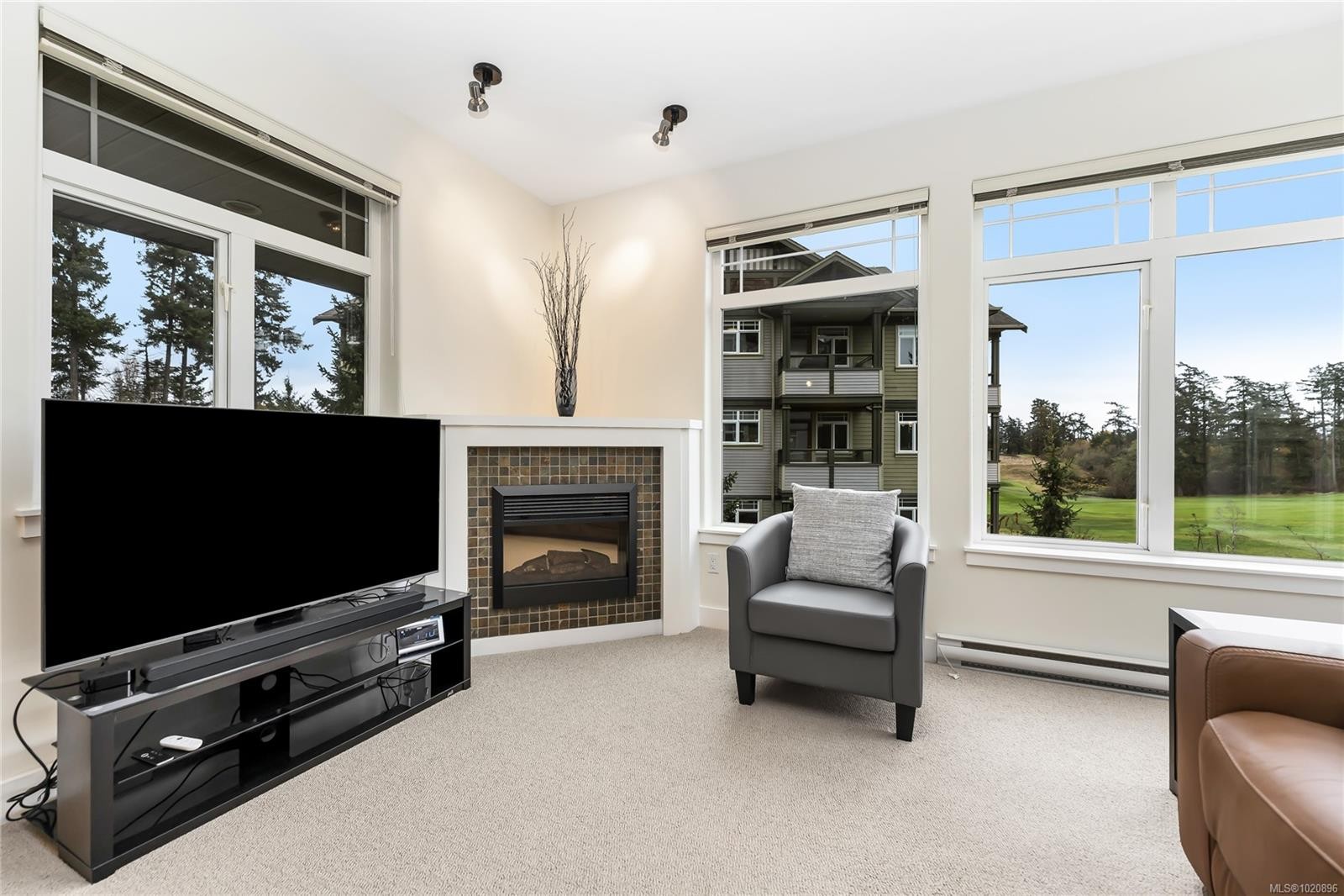 203D-1115 Craigflower Rd, Esquimalt, BC - Indoor Photo Showing Living Room With Fireplace