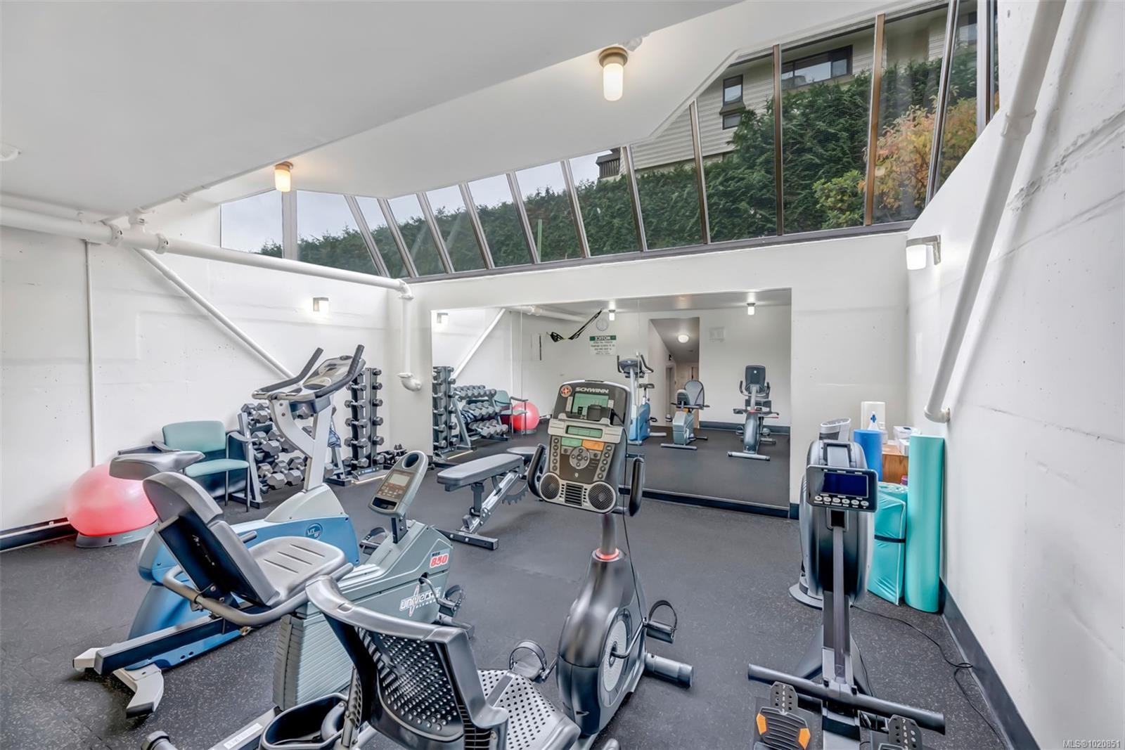 405-420 Linden Ave, Victoria, BC - Indoor Photo Showing Gym Room