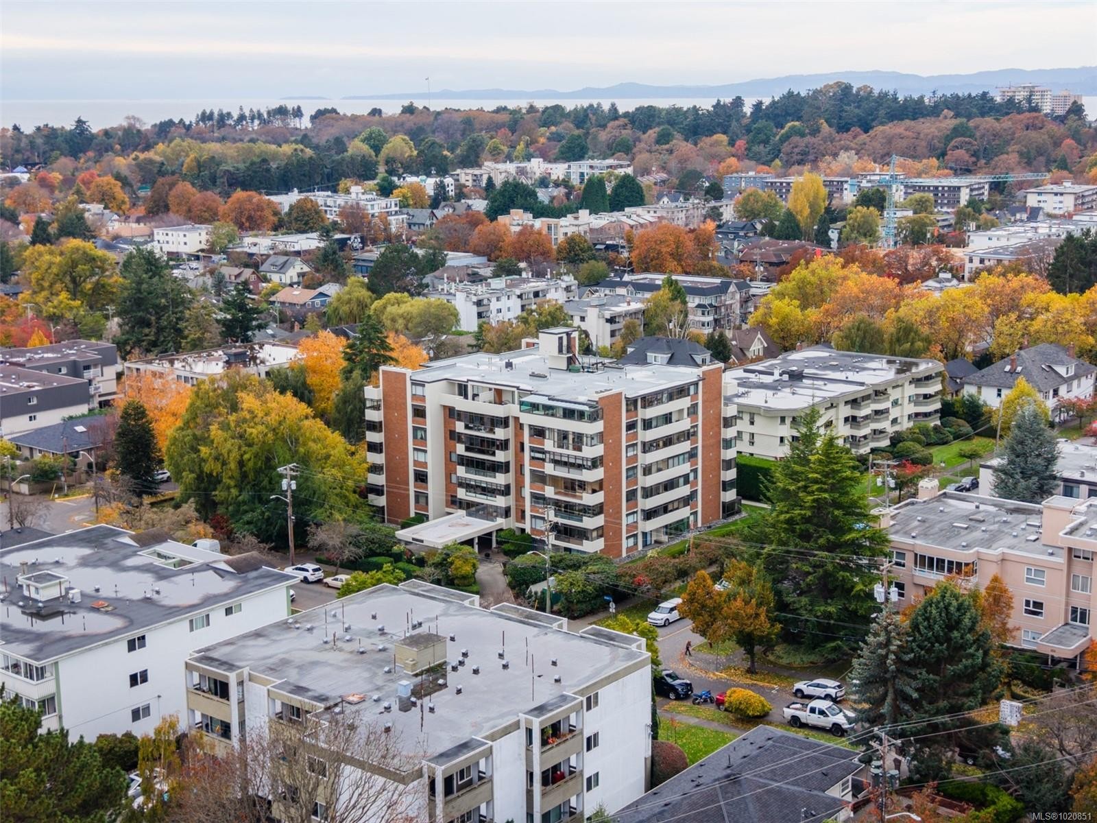 405-420 Linden Ave, Victoria, BC - Outdoor With View